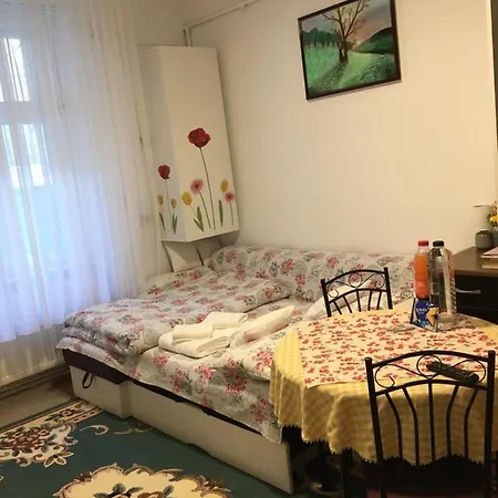 Apartment House Centrul Istoric *