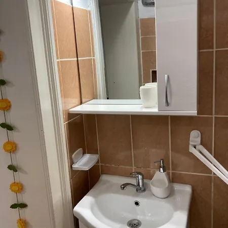 Apartment House Centrul Istoric *