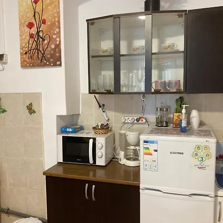 House Centrul Istoric Apartment