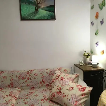 House Centrul Istoric Apartment *